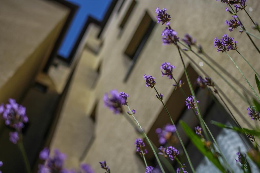 Hotel Five Seasons Fürth Eksteriør bilde